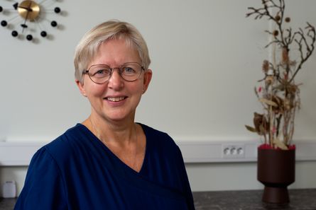 Eksempel bilde av stein